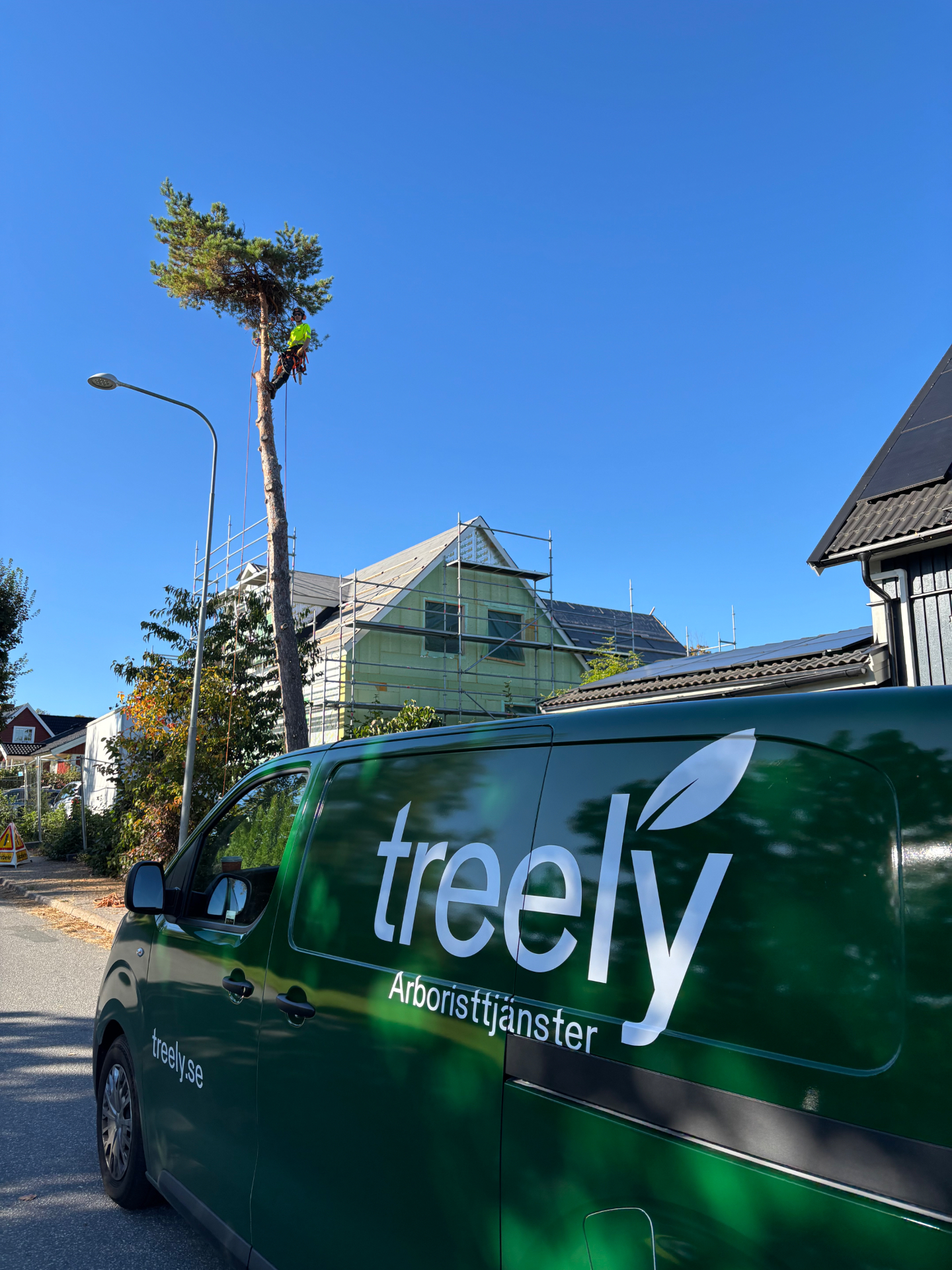 Treelys arbetsfordon vid ett trädarbete